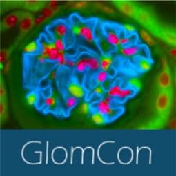 GlomCon