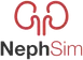 NephSim