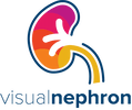 Visual nephron